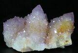 Cactus Quartz (Amethyst) Cluster - South Africa #33622-1